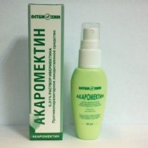 демодекоз у собак фото