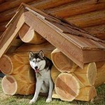 Как сделать будку для собаки
