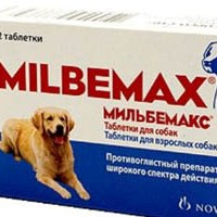 Лекарственный препарат Мильбемакс для собак Мильбемакс для собак
