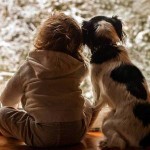 Самые гипоаллергенные собаки: породы и виды